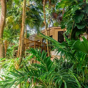 casa-ambar.allrivieramayahotels.com/